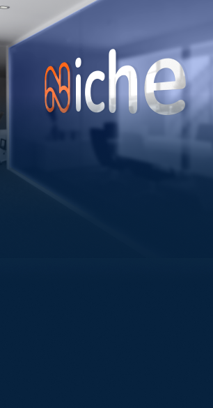 home_why_niche_section_image